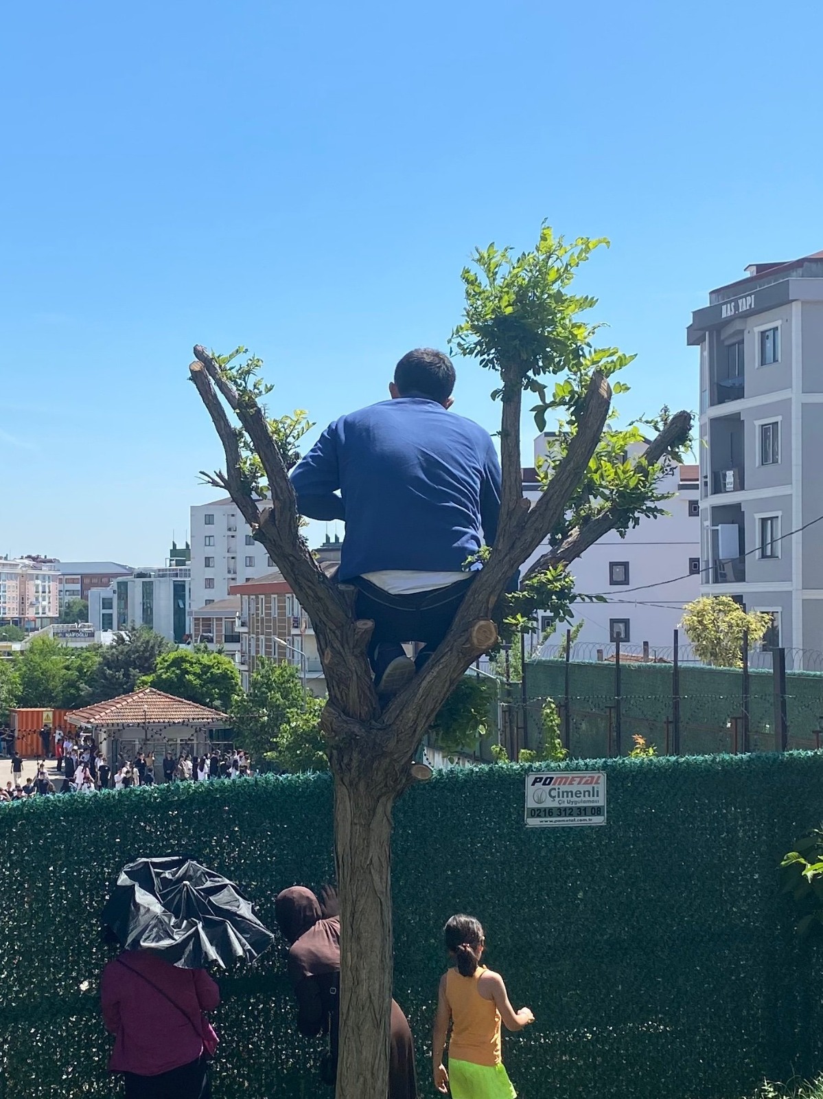 LGS heyecanı babayı ağaca çıkardı: Çocuğu sınavdayken ağacın tepesinde bekledi!