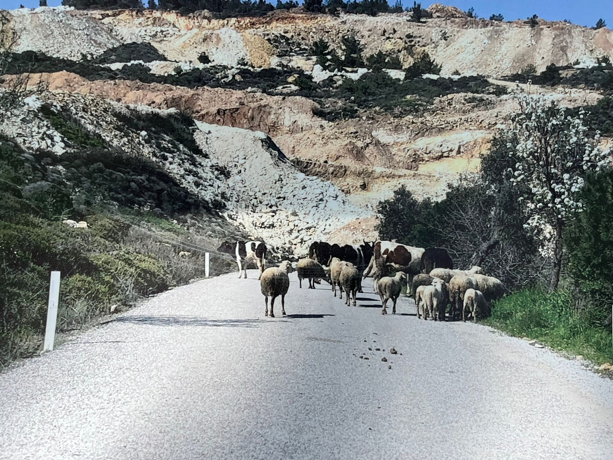 Taş ocakları çevre güvenliğini hiçe sayıyor, köy yolunu tahrip ediyor