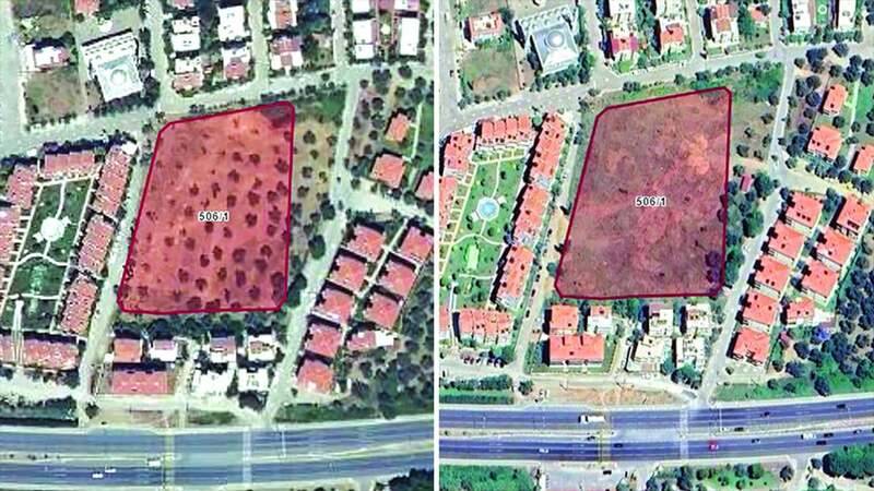 1721282450464 100 Yillik Agaclara 6 Bin Tlye Kiydilar 1