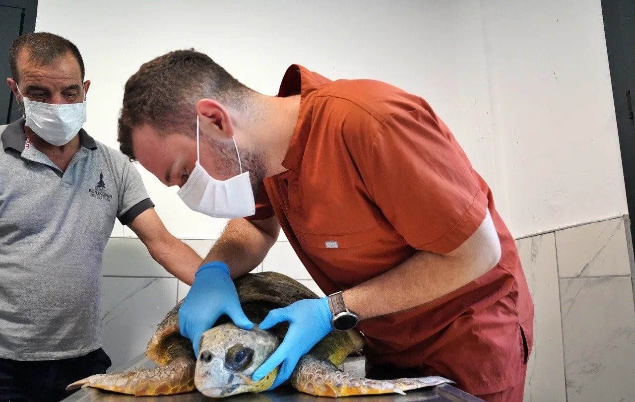 “Bu süreçte hayatta kalmasını sağlıyoruz”