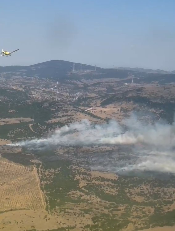 SONDAKİKA| Manisa'da orman yangını başladı!