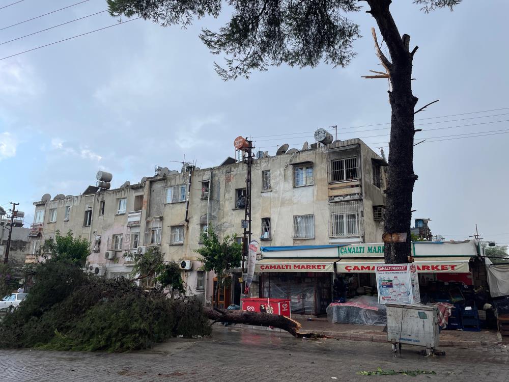 Kökünden sökülen bazı ağaçlar yollarda sürüklendi