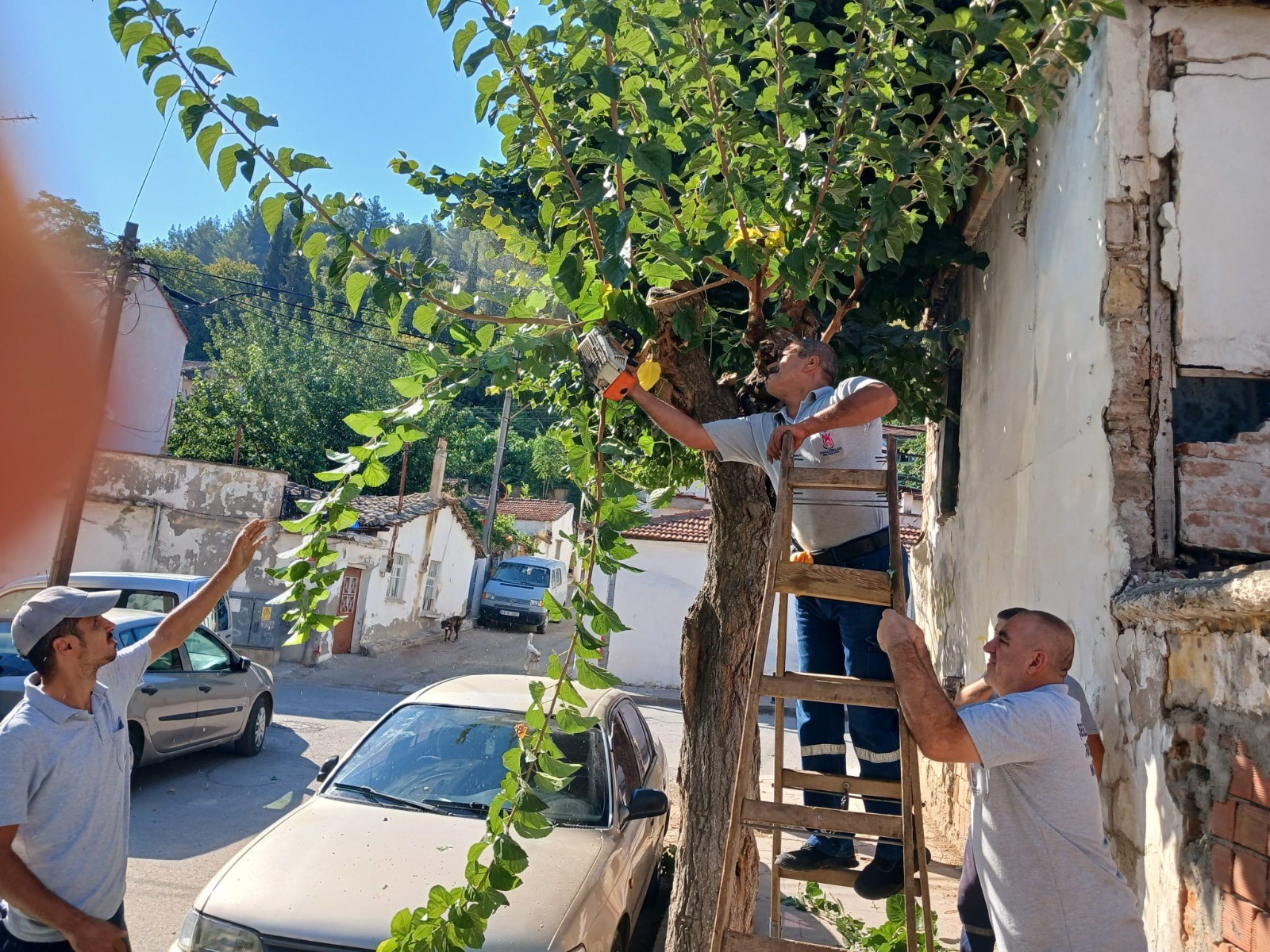 İLÇENİN DÖRT BİR YANINDA DÜZENLEME YAPILIYOR