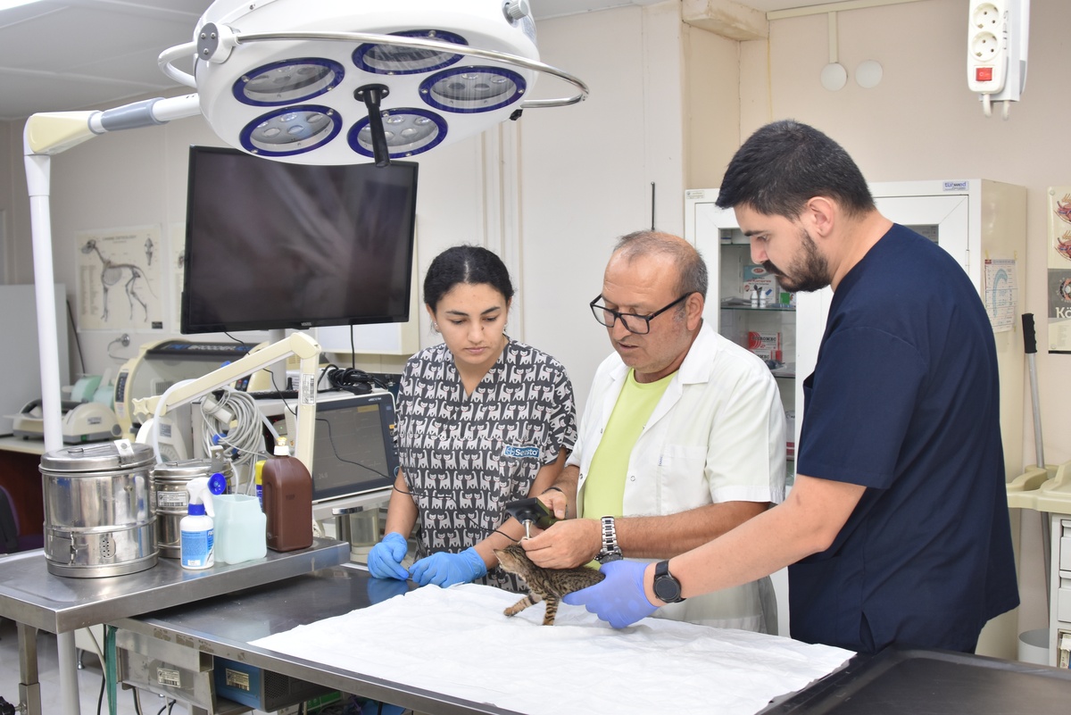 “ÖLDÜRME YASASINA KARŞIYIZ”