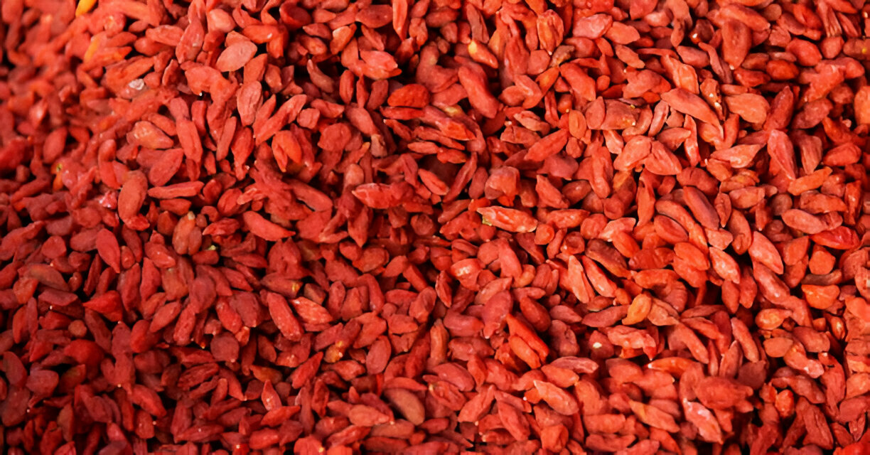 Goji Berry Ne Ise Yarar 2