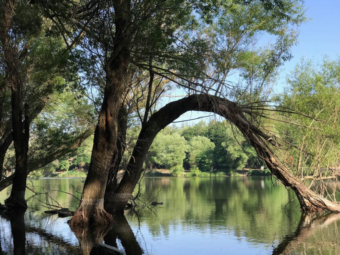 Karagol Tabiat Parki Nerede 5