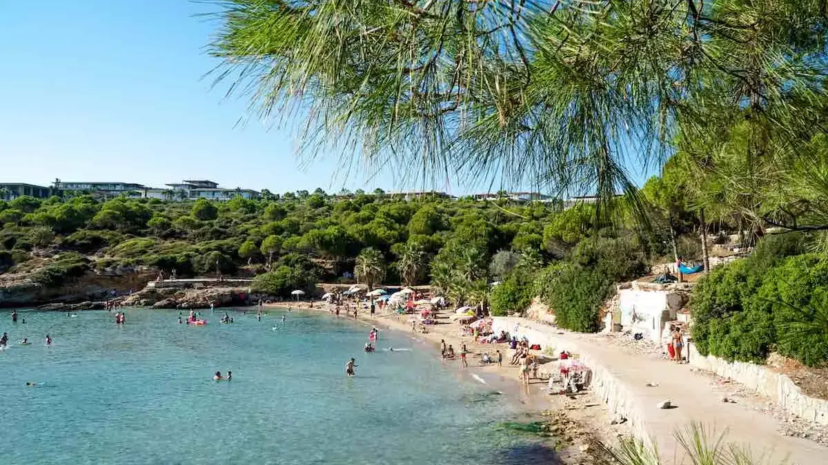 Seferihisarin En Guzel Koylari 6