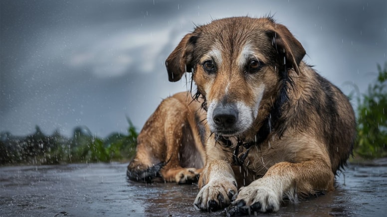 Yapılan açıklamanın tamamı şu şekilde: