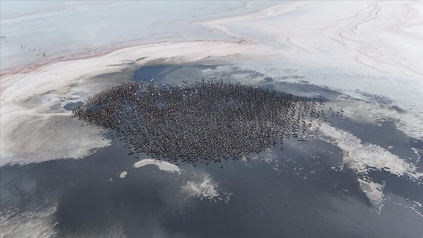 Thumbs B C A83Bc2C7E9A5Dbf796580Df9745E9180