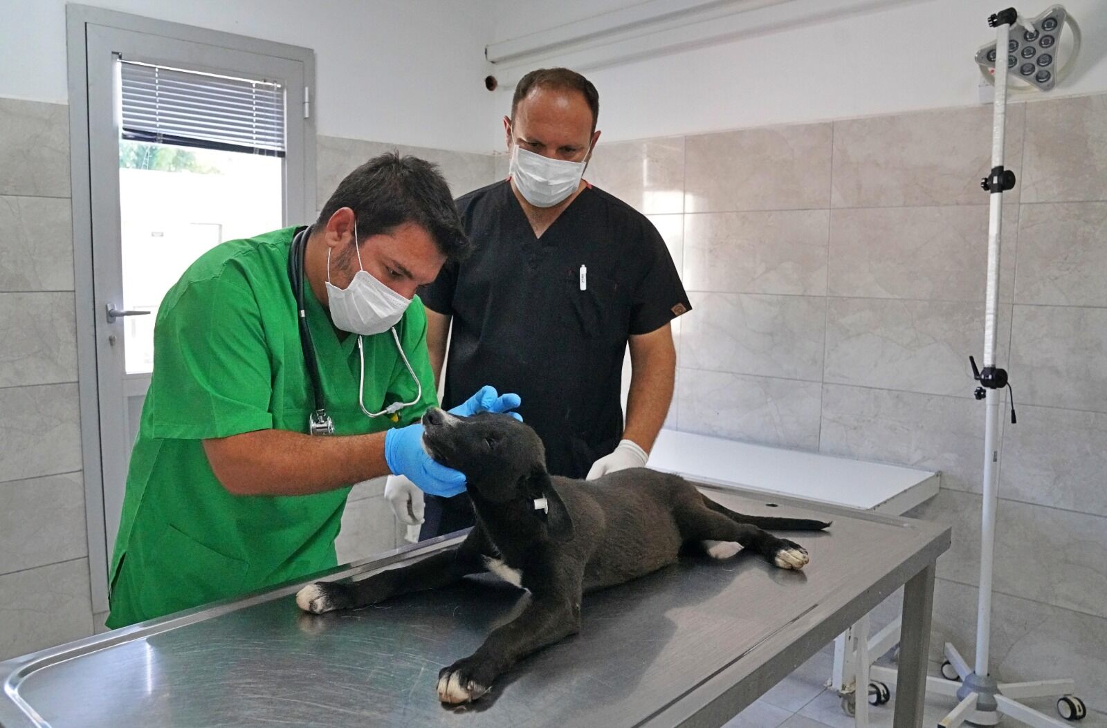 “Can dostlarımızın da toplumun da sağlığını koruyoruz”