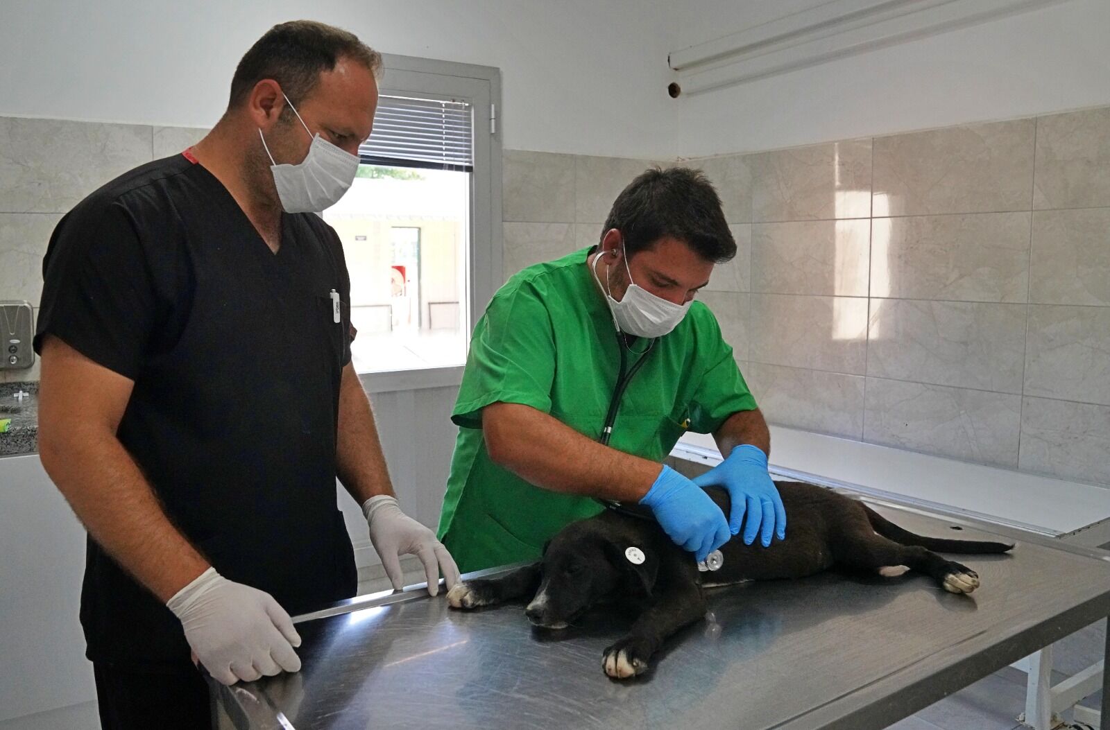 Hızlı teşhis ve müdahalede örnek