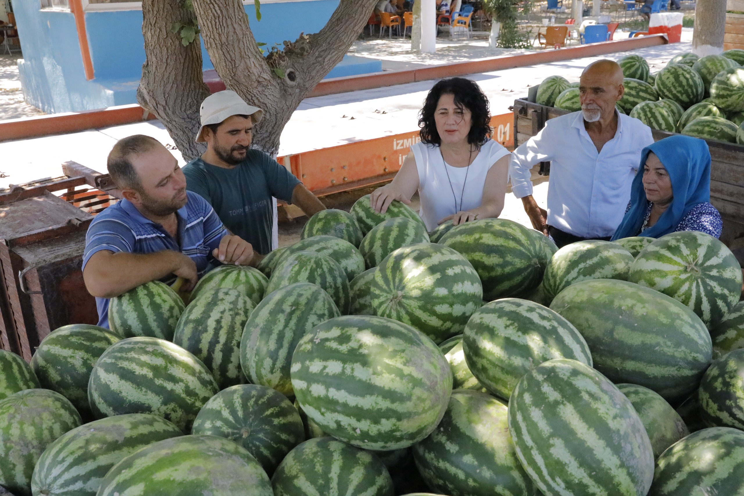 İzmir Büyükşehir Belediyesi ile işbirliği projesi