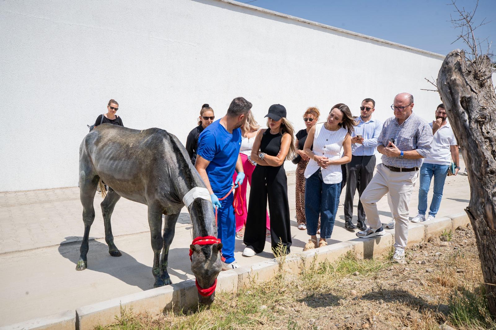 “PAKO’yu çok beğendim”