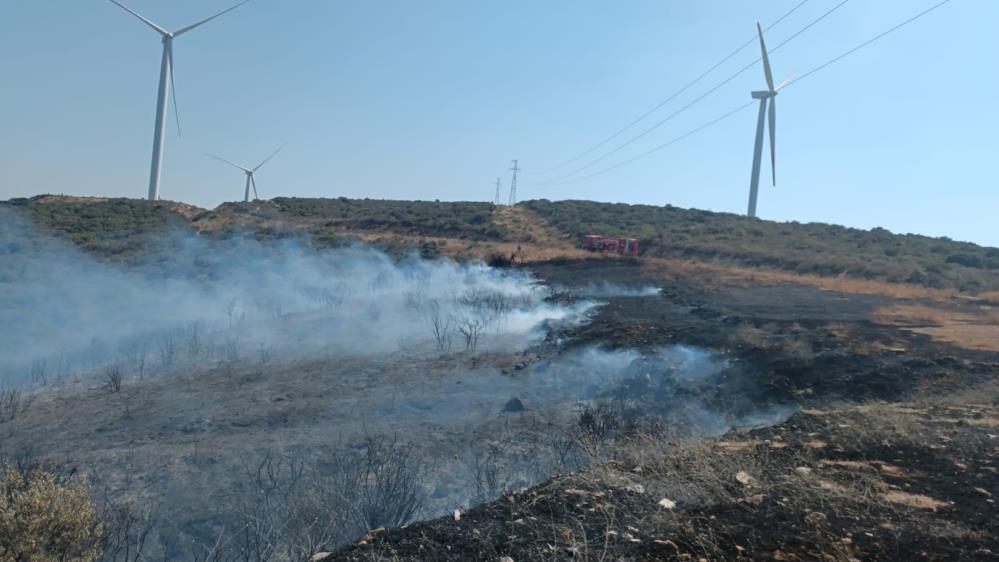 SONDAKİKA| Aliağa'da orman yangını başladı!