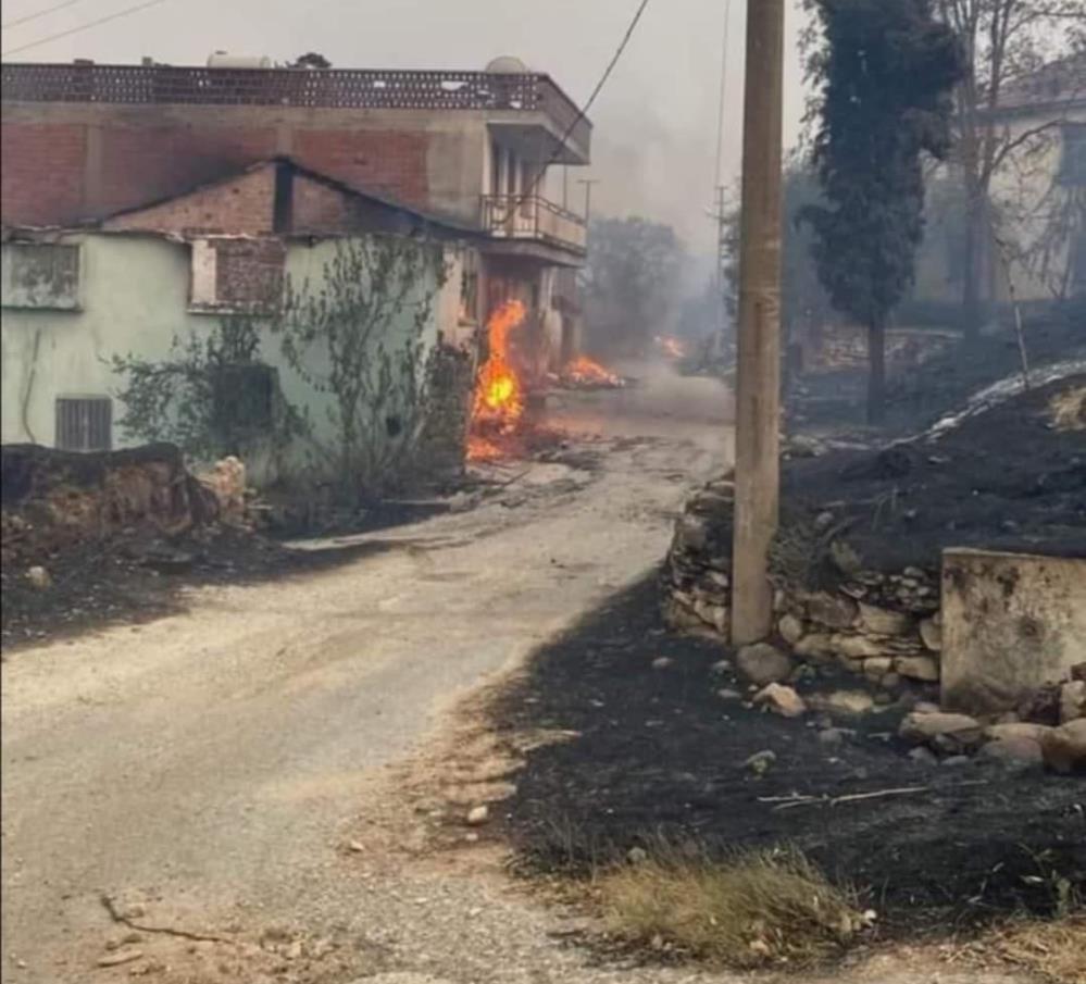 Yangın köyü tamamen sardı ve geride sadece yanmış evler, tarım alanları ve küle dönmüş bir köy kaldı. Köyde geçimini hayvancılıkla sağlayan vatandaşlar, yangın nedeniyle büyük zarar gördü.