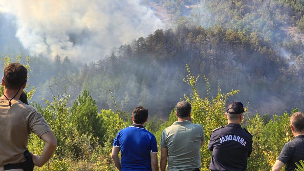 İtfaiye, arazöz, su tankeri, greyder ve dozerlerden oluşan 75 aracın müdahale ettiği yangın rüzgarın etkisiyle zaman zaman zor anlar yaşatıyor.