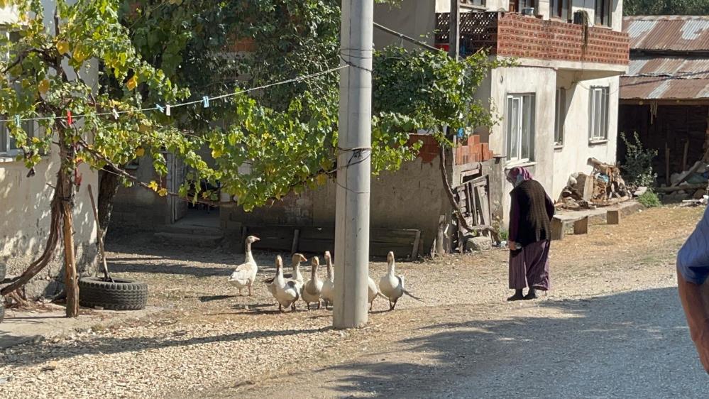 “Bölgedeki iletişim sorunları devam ediyor”