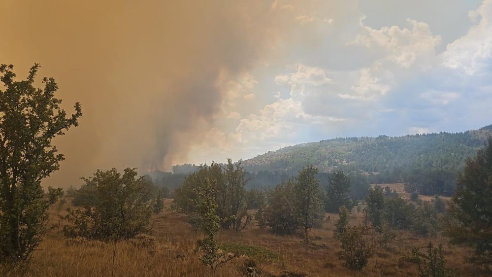 Ankara ile Bolu'nun sınırında büyüyen yangına çok sayıda itfaiye ekibi, arazöz, tanker ve 2 helikopter sevk edildi. 