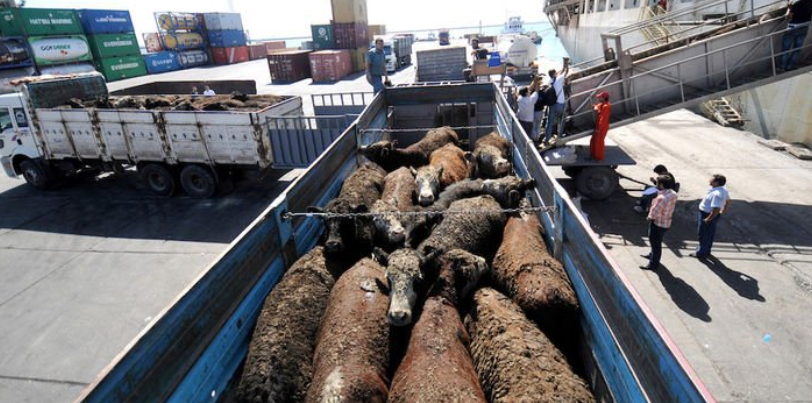 Ekran Goruntusu 2024 05 15 120730