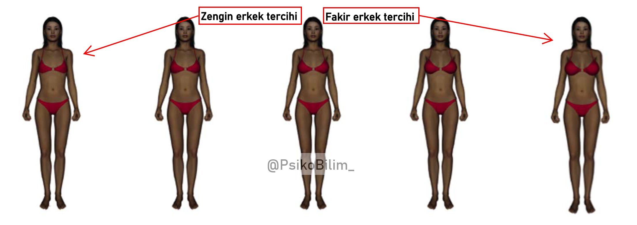 Fakir Erkek Büyük Göğüs