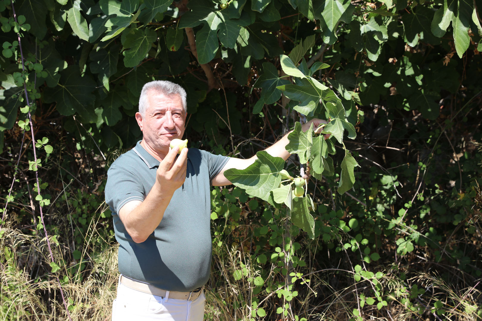 ‘Rengarenk bir festival olacak’