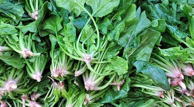 Ispanagin Faydalari 1