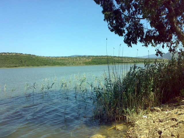 Izmirin Golleri Gebekirse 1