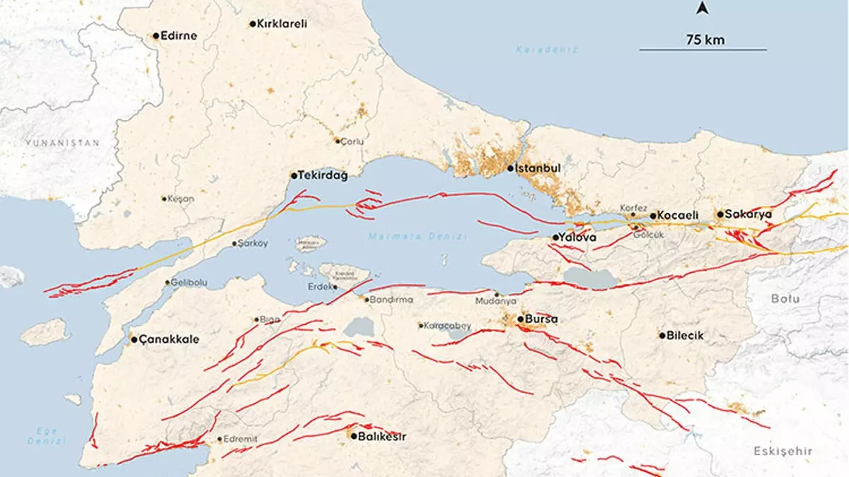 Kuzey Marmara Fayı