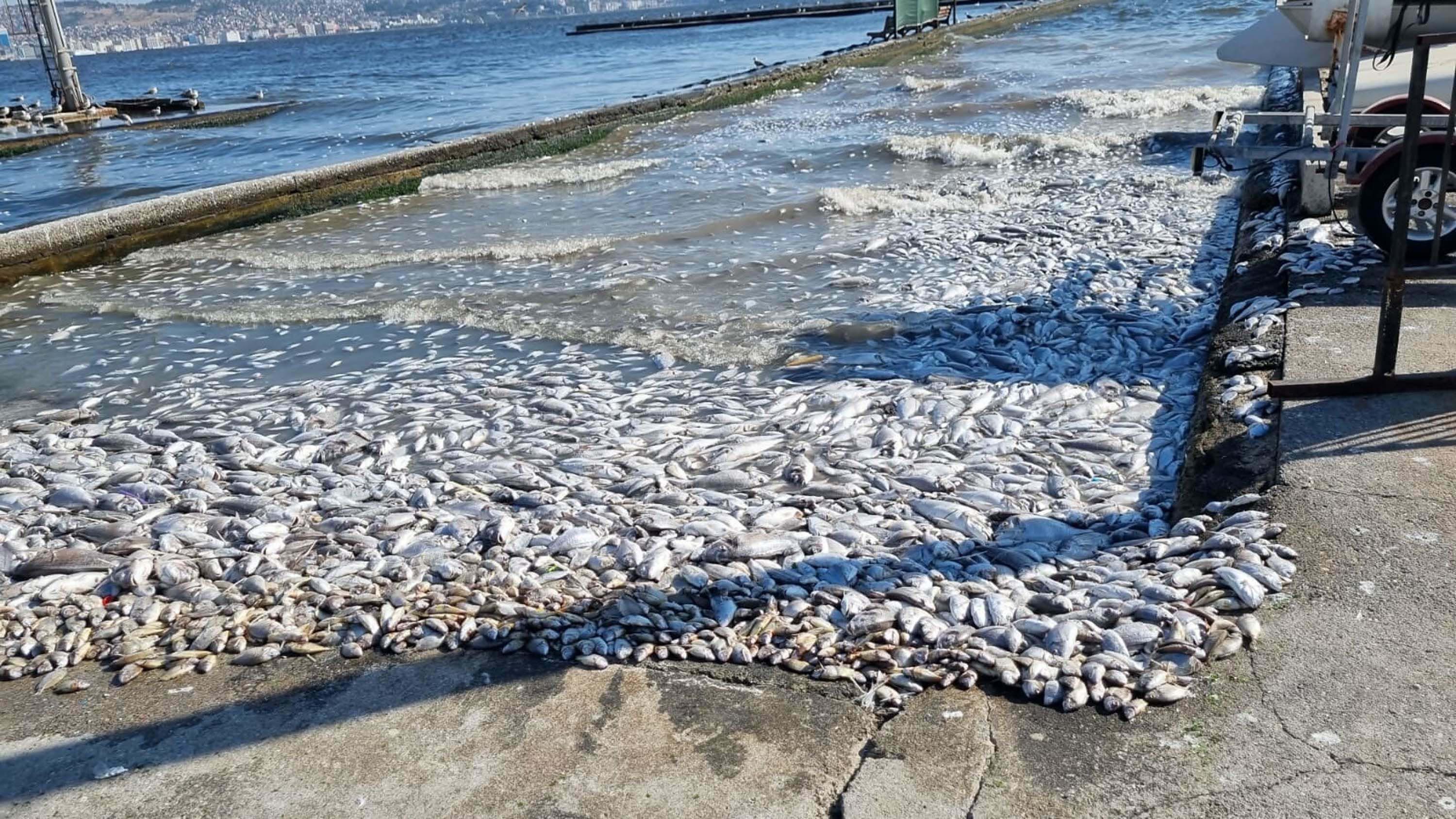 'ORGANİK KİRLİLİĞİN AZALTILMASINDA ÖNEMLİLER'