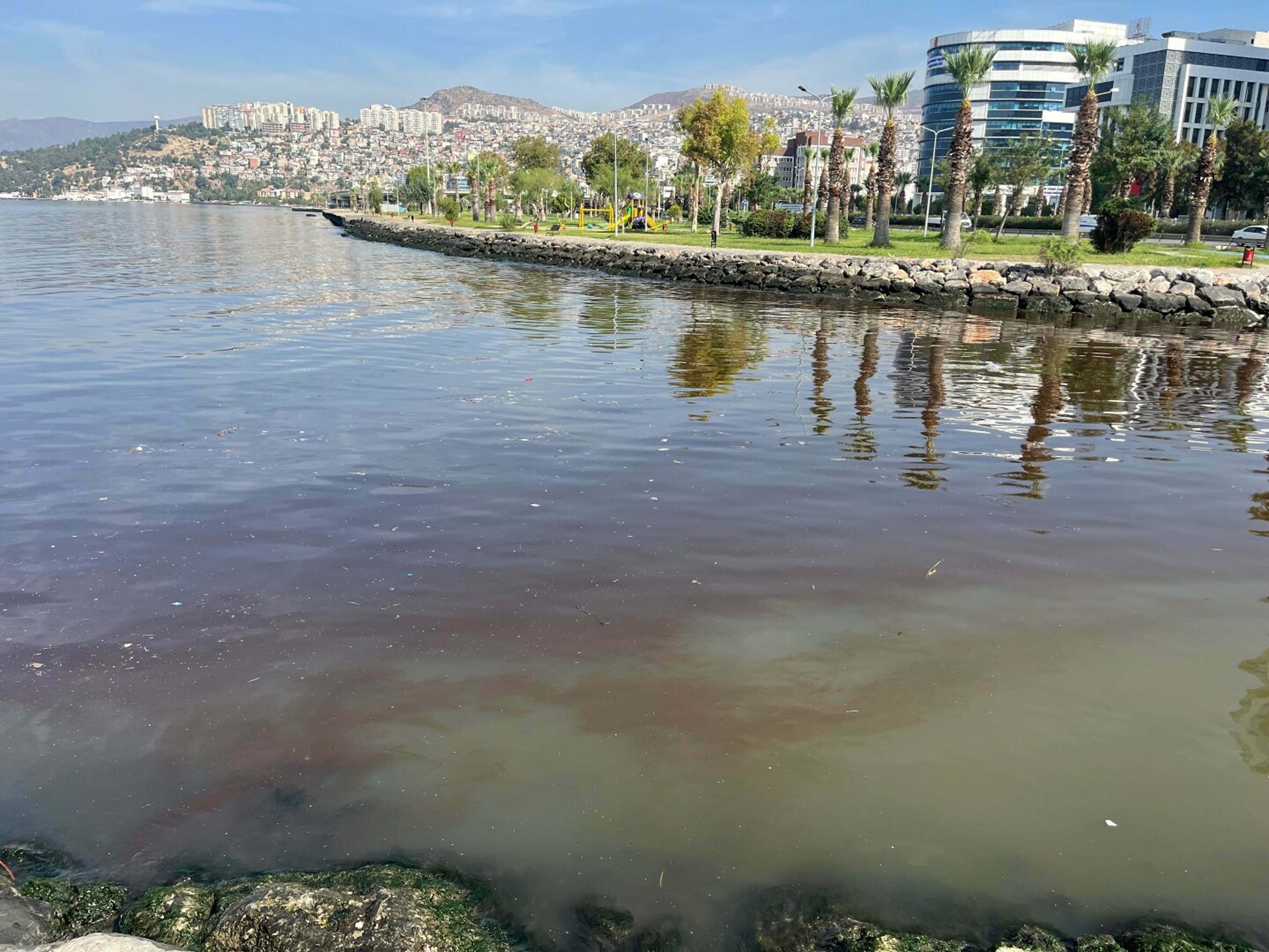 'İLKBAHARDA YİNE ALG ARTIŞI GÖRÜLEBİLİR'