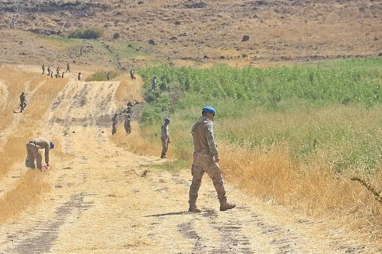 Narin Güran Arama Çalışmaları