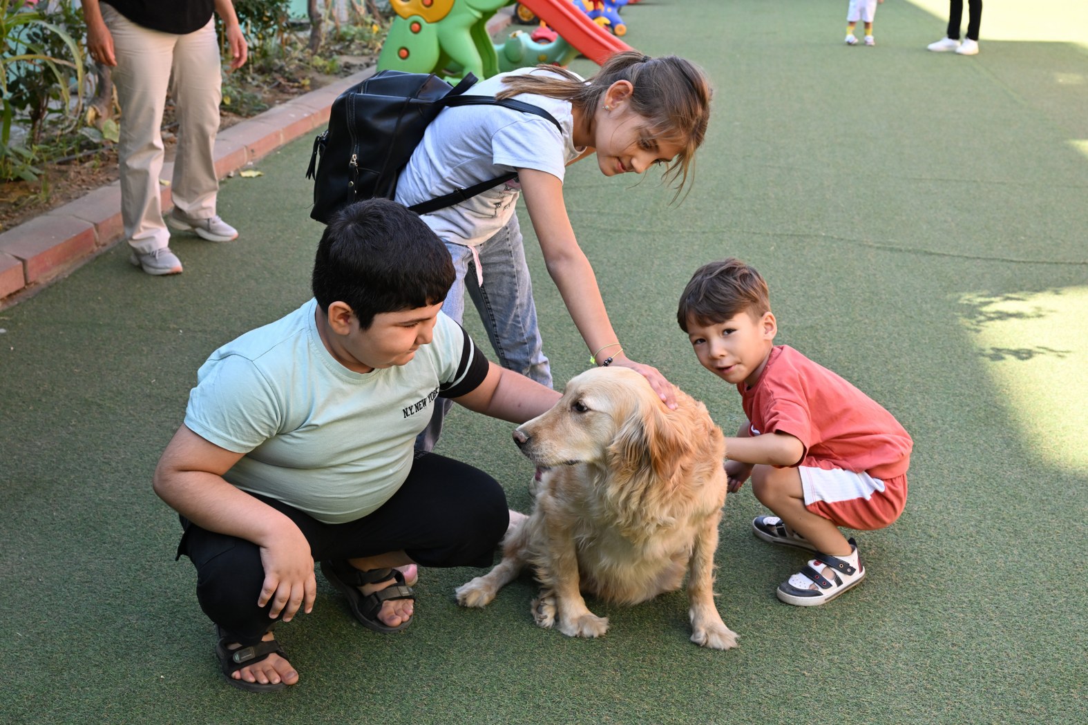 “Sahiplenme sayısının artması için bu projeyi yürütüyoruz”