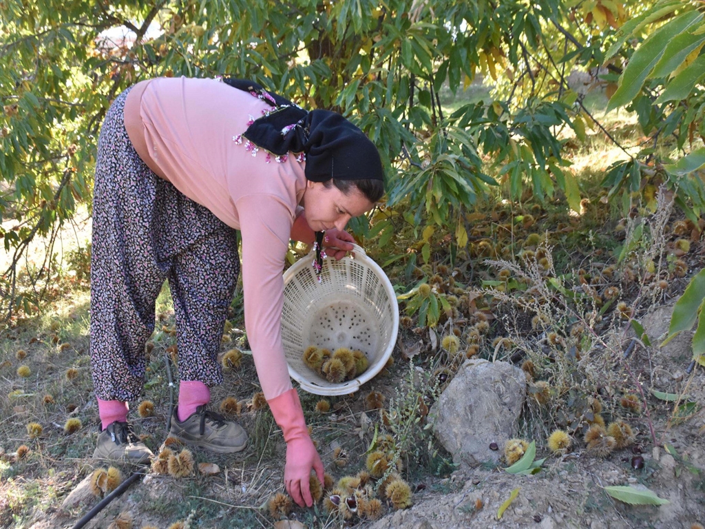 'BÜYÜK BİR GELİR KAPISI'