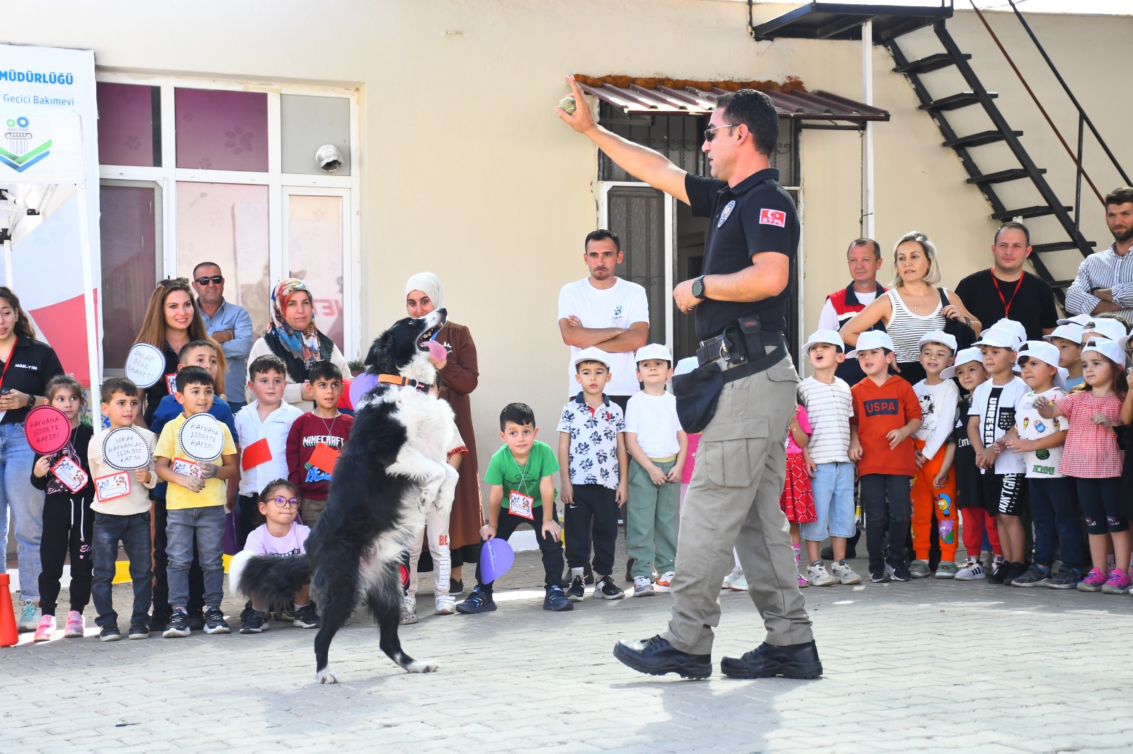 Uluslararası standartlarda faaliyetler