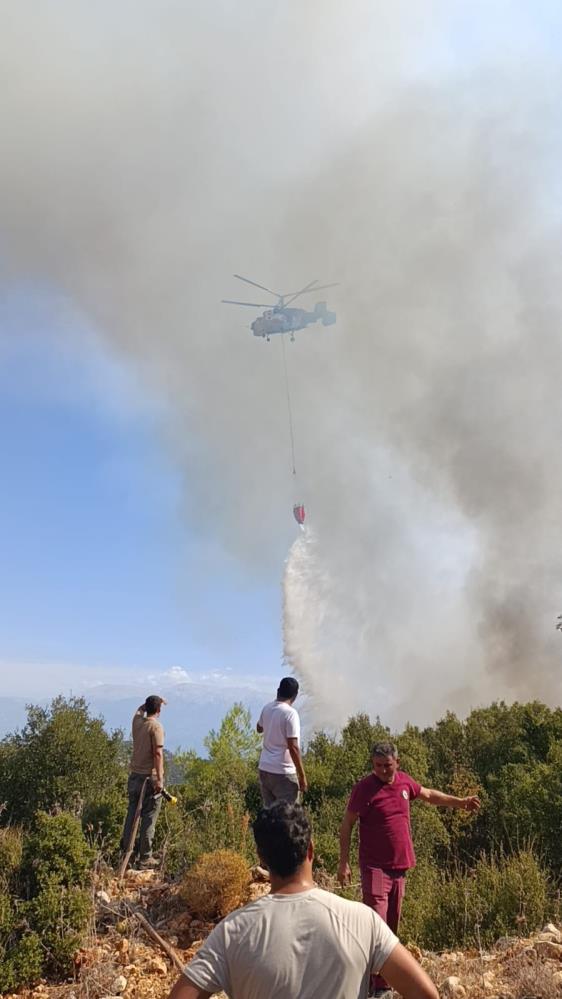 İhbar üzerine bölgeye Muğla Orman Bölge Müdürlüğü ve Muğla Büyükşehir Belediyesi İtfaiye Daire Başkanlığı ekipleri sevk edildi.