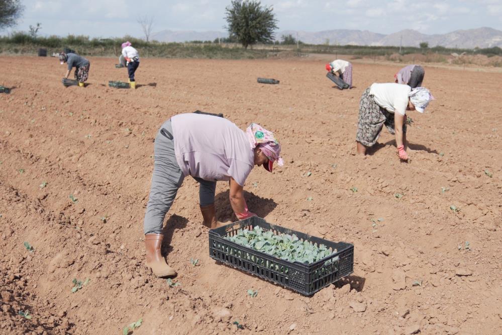 Ürünler ve İşleme Süreci