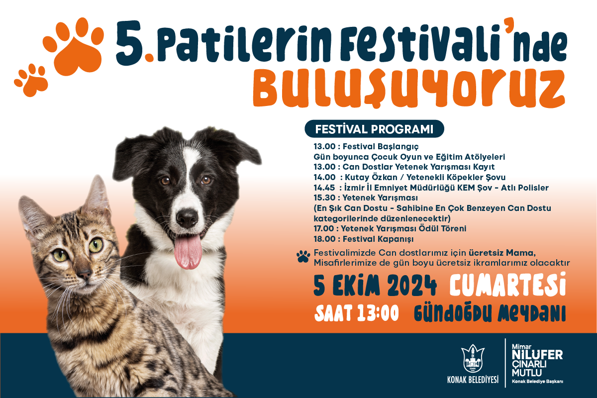 Festival boyu çeşitlik etkinlikler