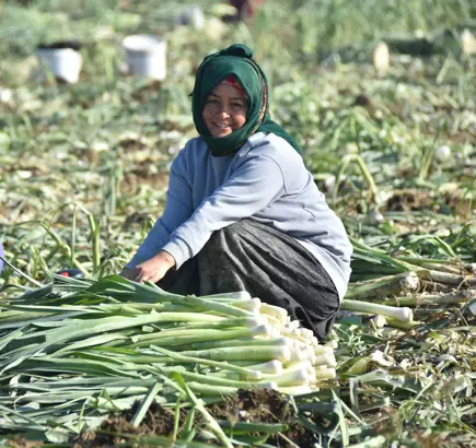 'ÜRETİCİLER ALTINDAN KALKAMIYOR'