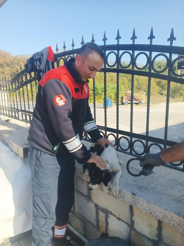 Sahipsiz olduğu öğrenilen ve bir süre demir parmaklıklar arasında kurtarılmayı bekleyen köpek, itfaiye ekiplerine haber verilmesi ile bulunduğu yerden başarılı bir operasyonla kurtarıldı. 