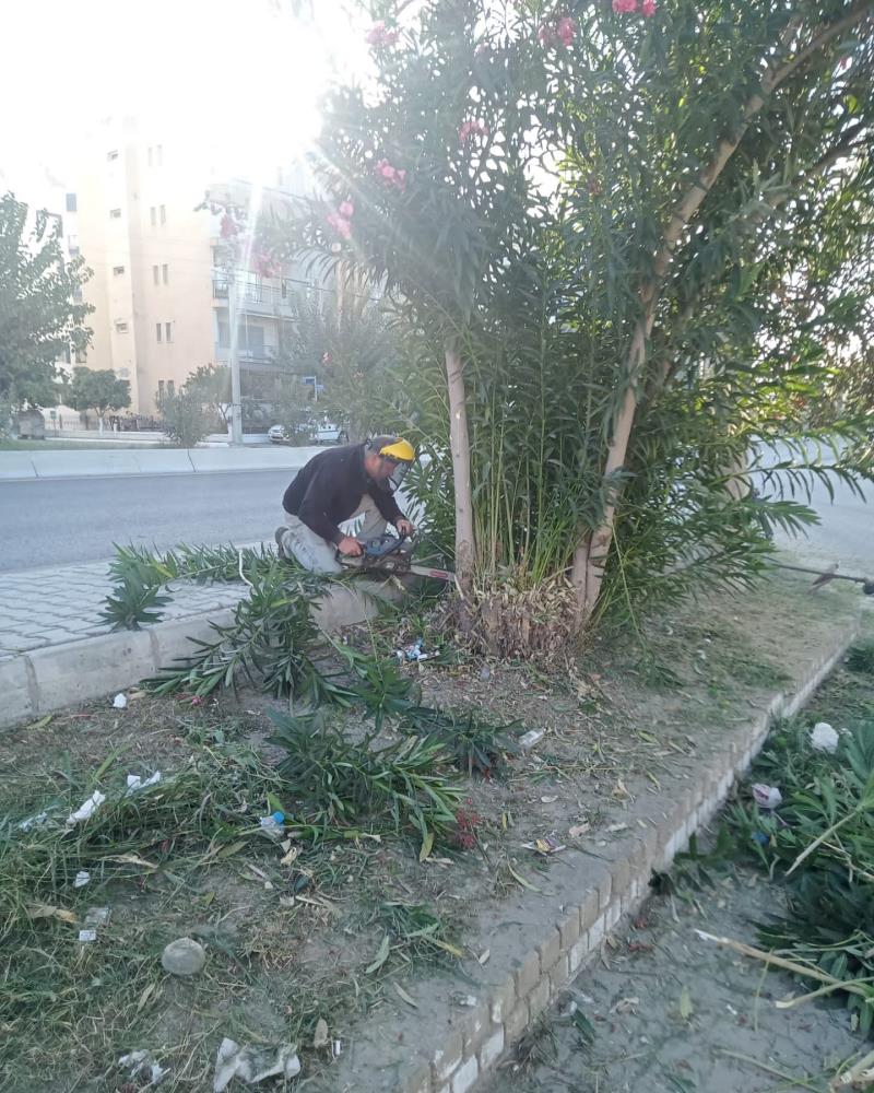 Çiçekler ve Bitkilerle Canlanan Sokaklar