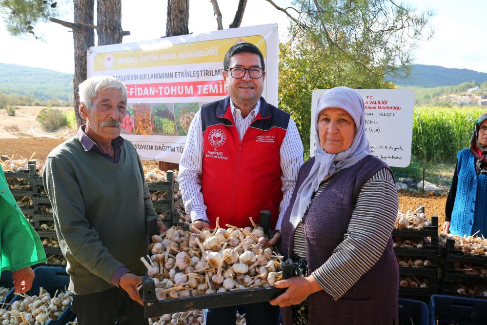  Muğla’nın Coğrafi İşaretli Değeri