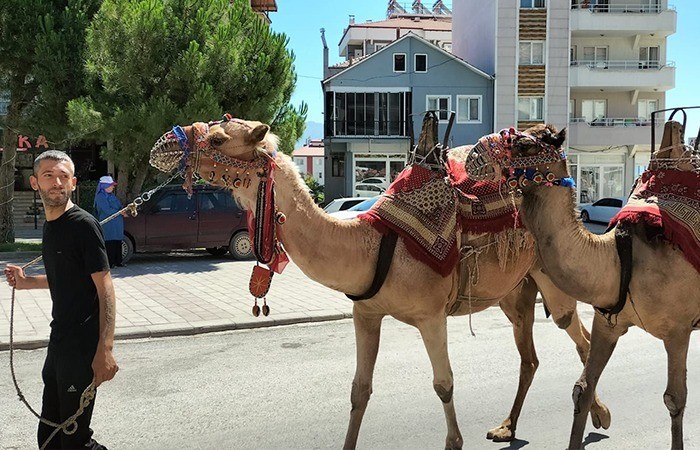 Çalıştay sunumlarının Konar- Göçer; Çoban; Kıl Çadır, Harar ve Bozlak isimlerini taşıyan salonlarda gerçekleştirileceği hemen sonrasında bir sonuç raporunun hazırlanıp kamuoyu ile paylaşılacağı öğrenildi.