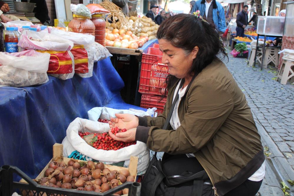 Dağlardan pazar tezgahlarına: Kuşburnu nasıl toplanır?