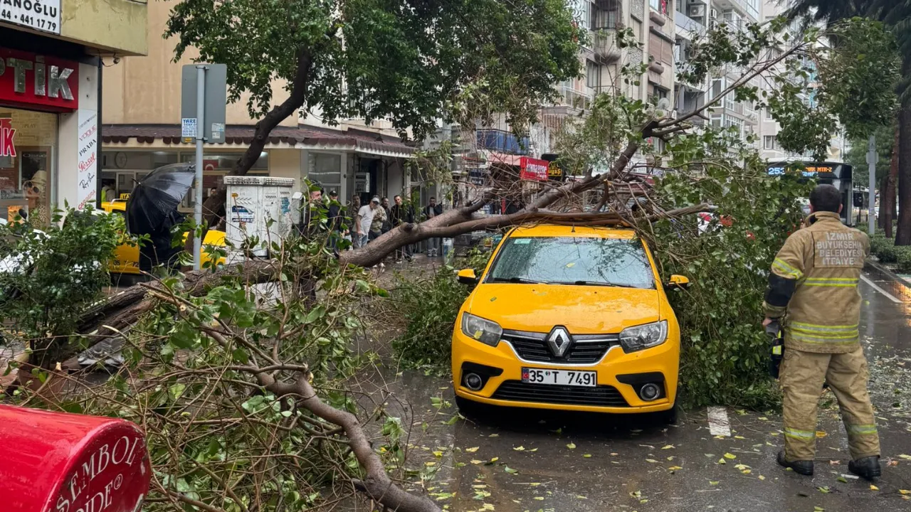 Izmir Mithat Pasa Caddesinde Taksinin Ustune Agac Devrildi 1