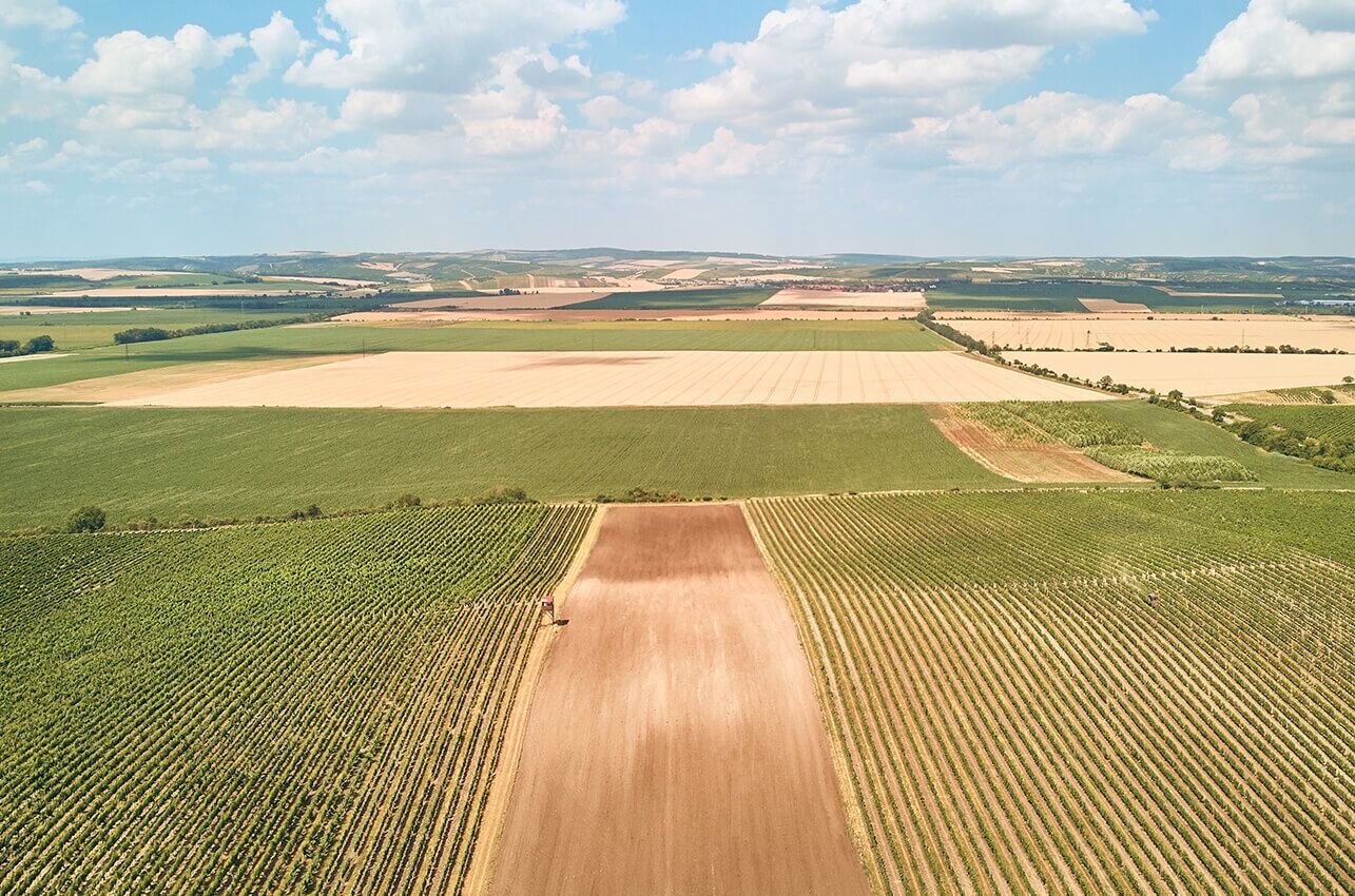 O T Q1 N T Mx M T Kutahya Belediyesi 57 Arsayi 24 Ay Taksitle Satiyor 175 Bin Tlden Baslayan Fiyatlarla