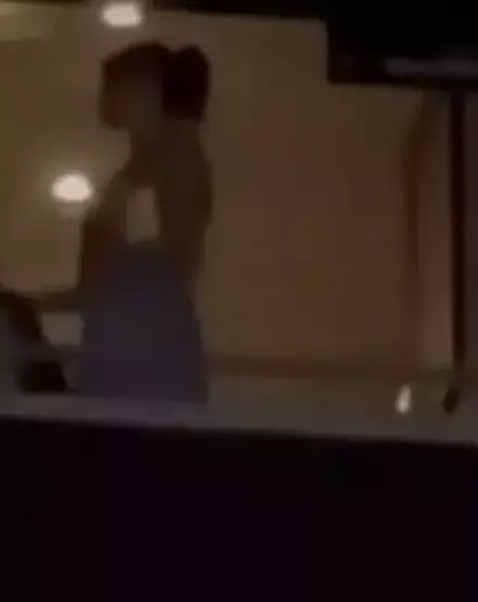 Serenay Sarıkaya Ajda Pekkan konserinde locada eğlendi: Mert Demir locaya alınmadı!