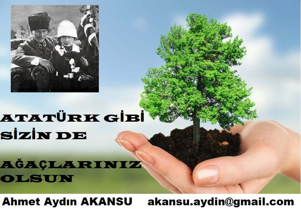 "Atatürk Arboretumu" 