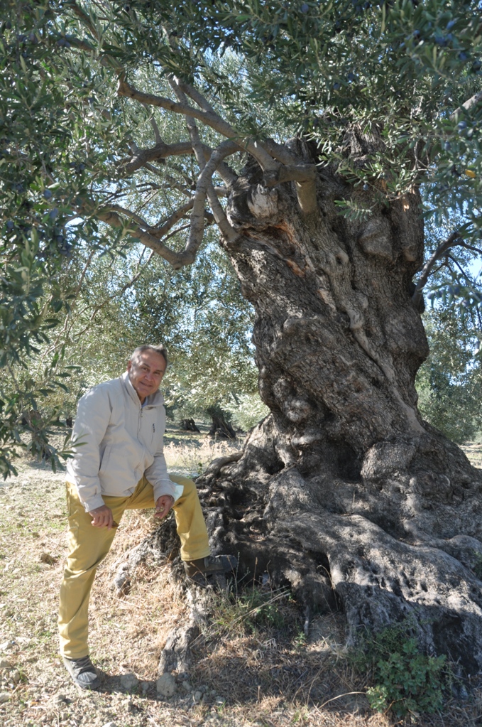 Ahmet Aydın Akansu