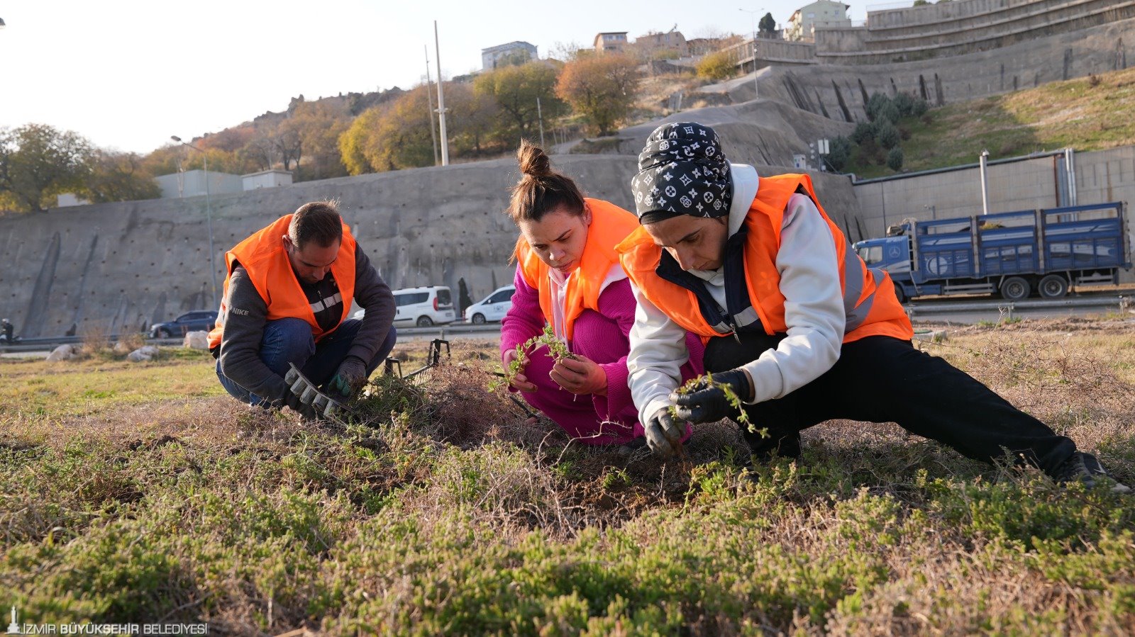 Kurakçıl bitkilerle suyu verimli kullanma amacı
