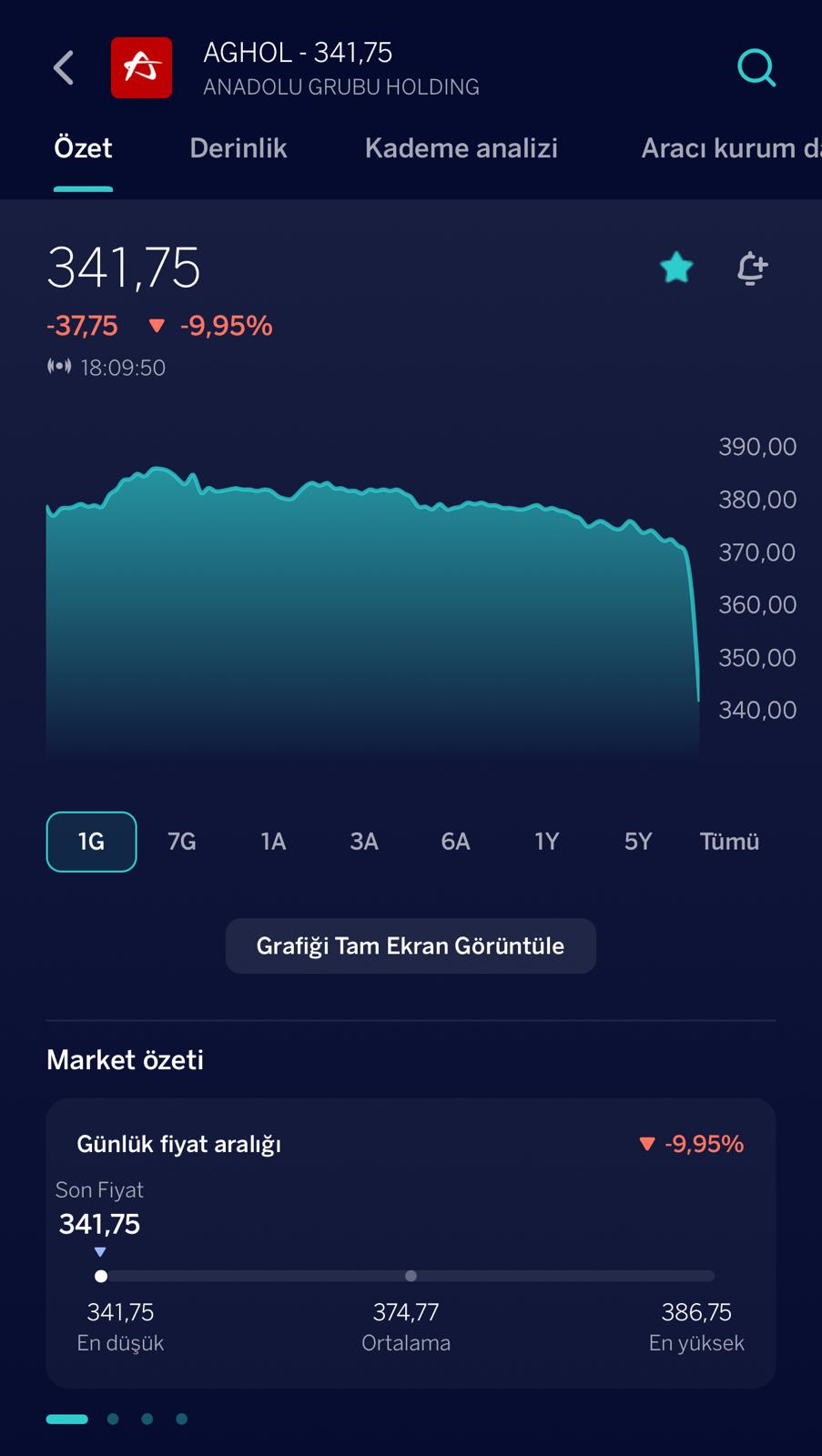 Anadolu Grubu Holding